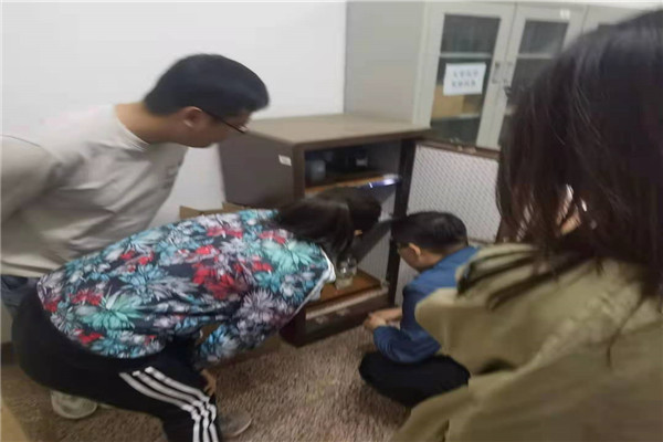 药品保险箱检查_副本.jpg