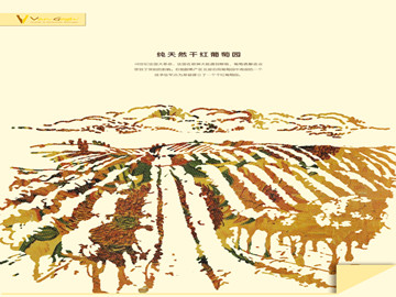 马雨泽的作品--梵高酒（Van Gogh）包装设计上名画元素的创新应用